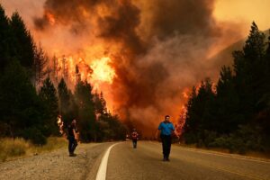 Incendios en la Patagonia: más de 15.000 hectáreas afectadas y cientos de brigadistas en alerta