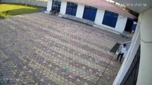 Empleado de hotel muere electrocutado al intentar ahuyentar a un mono en India