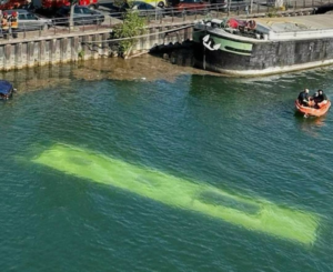 Autobús cae al río Sena en Francia: rescate urgente y sin víctimas fatales
