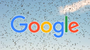 Google impulsa la liberación de más de 32 millones de mosquitos en EE.UU. para combatir el dengue y el zika