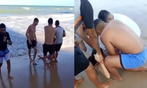 Joven pierde una pierna tras brutal ataque de tiburón en una playa de Brasil: es el segundo caso en 48 horas