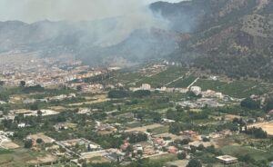 Incendio forestal en Murcia obliga a evacuar vecinos y moviliza a la UME en el Parque Regional de El Valle