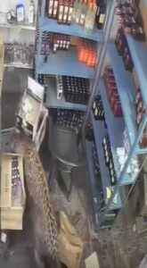Leopardo entra a una tienda y ataca a un vendedor en India; el animal fue capturado horas después