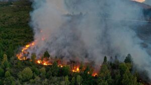 Incendio en Gironda: Francia enfrenta uno de sus peores desastres forestales en décadas
