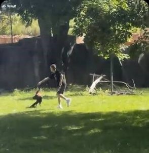 Menor ingresó al recinto de aves de un zoológico y provocó preocupación en Milwaukee
