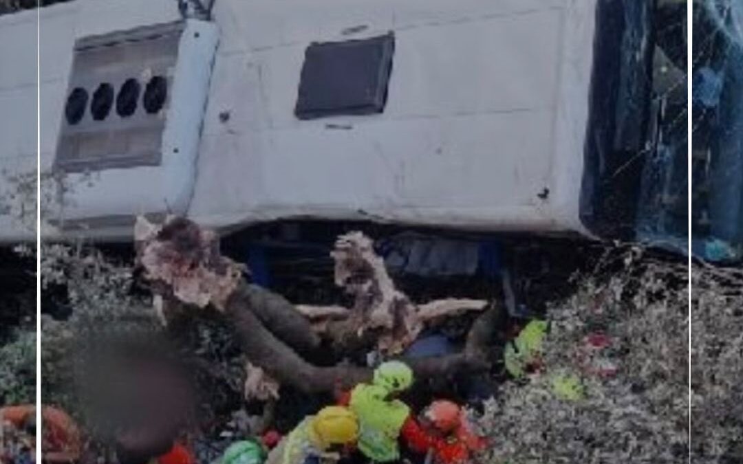 Operativo de emergencia por el autobús que cayó por un terraplén en Fogars de Montclús, Montseny