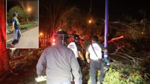Árbol cae sobre personas en Plaza El Guipil y deja varios heridos