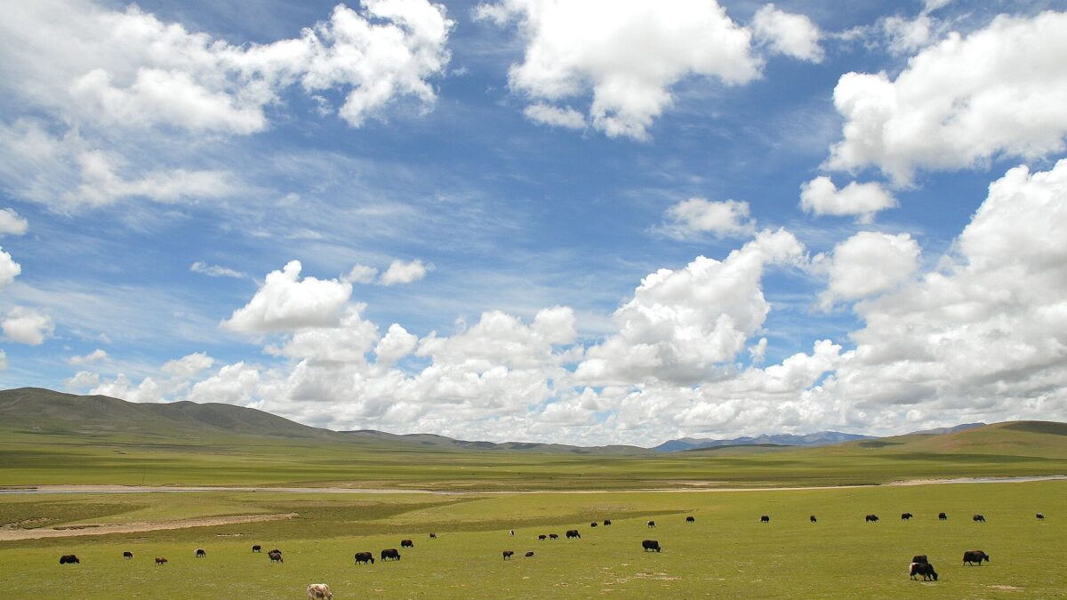 Paisaje de altura en el condado de Nagqu, en el Tíbet