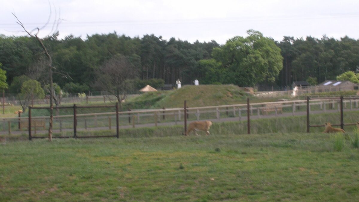 Vista del Yorkshire Wildlife Park, en el área de Doncaster, Inglaterra